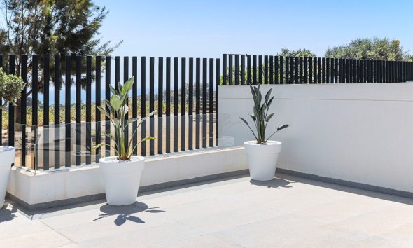 Rynek Pierwotny - Willa - Guardamar del Segura - Guardamar Del Segura