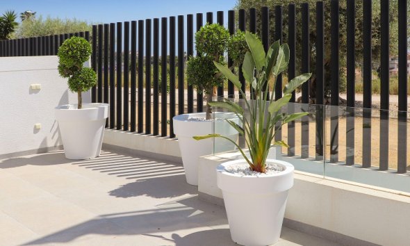 Rynek Pierwotny - Willa - Guardamar del Segura - Guardamar Del Segura