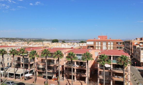 Reventa - Apartamento - Torrevieja