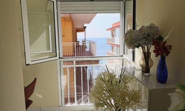 Reventa - Apartamento - Torrevieja