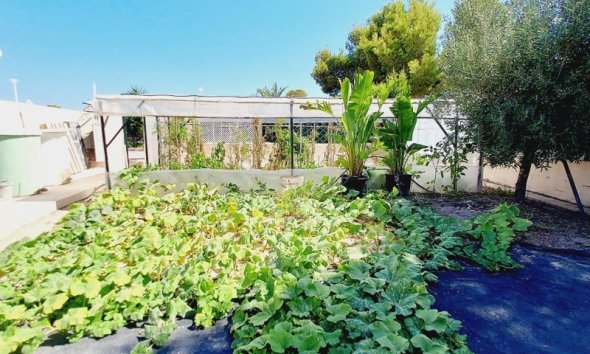 Resale - Villa - Orihuela Costa - Campoamor