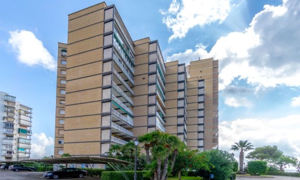 Reventa - Apartamento - Orihuela Costa - Campoamor