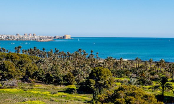 Rynek Wtórny - Apartament - Punta Prima