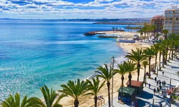 Obra nueva - Apartamento - Torrevieja