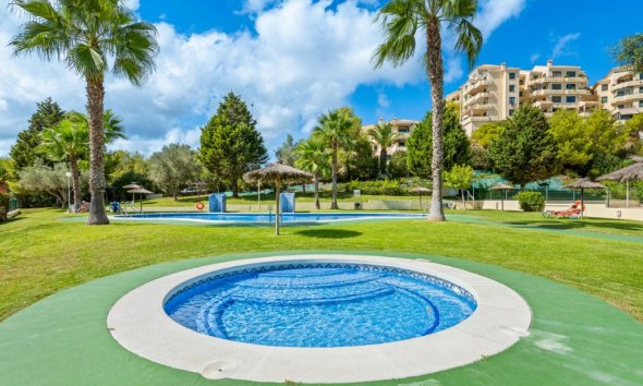 Reventa - Apartamento - Orihuela Costa - Campoamor