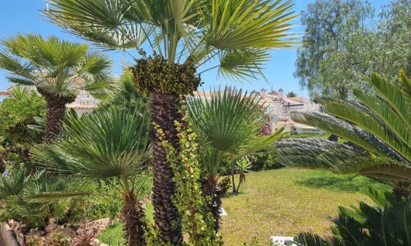 Resale - Apartment - Torrevieja - Los Balcones