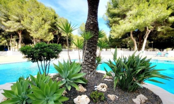 Resale - Apartment - Orihuela Costa - Dehesa De Campoamor