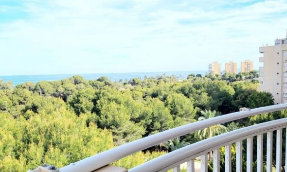 Resale - Apartment - Orihuela Costa - Dehesa De Campoamor