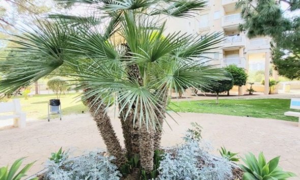 Resale - Apartment - Orihuela Costa - Dehesa De Campoamor