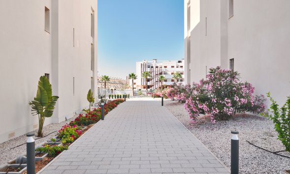 Reventa - Apartamento - Orihuela Costa - Villamartín