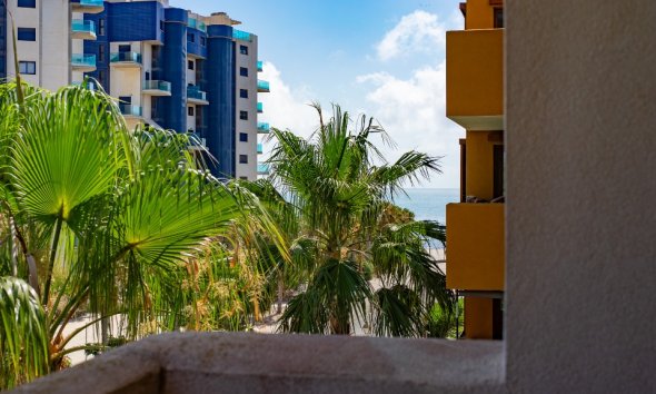 Rynek Wtórny - Apartament - Punta Prima