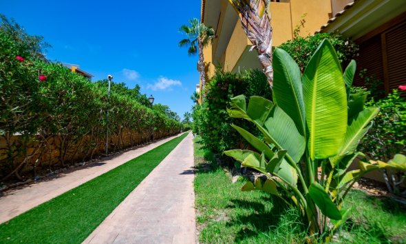 Rynek Wtórny - Apartament - Punta Prima