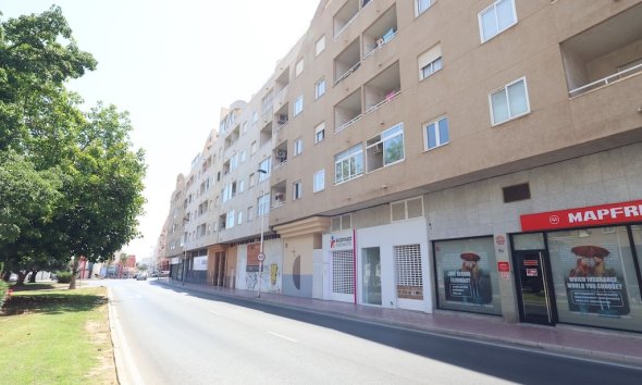 Reventa - Apartamento - Torrevieja
