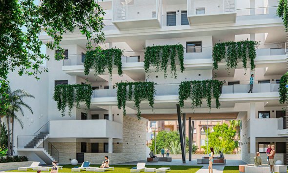 Rynek Pierwotny - Apartament - Torrevieja