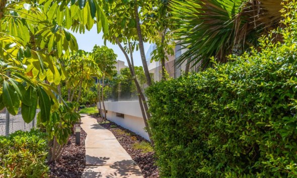 Resale - Apartment - Orihuela Costa - Cabo Roig