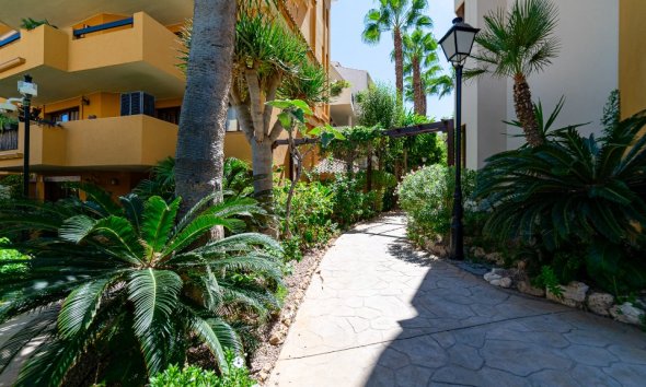 Resale - Apartment - Punta Prima