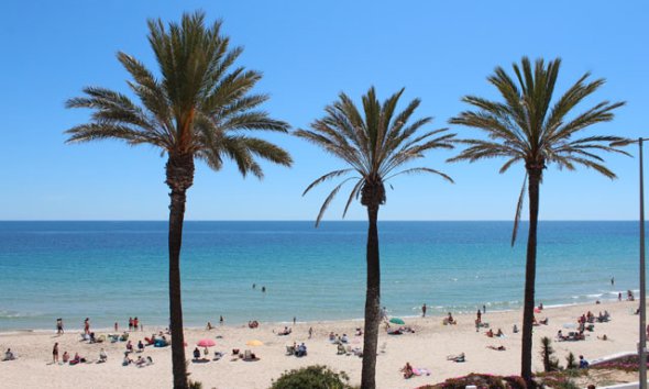 Resale - Apartment - Pilar de la Horadada - Mil Palmeras