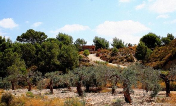 Resale - Estate / Farm / Plot - Gea Y Truyols