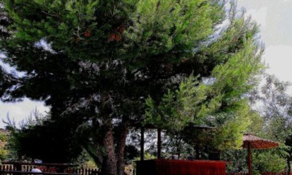 Resale - Estate / Farm / Plot - Gea Y Truyols