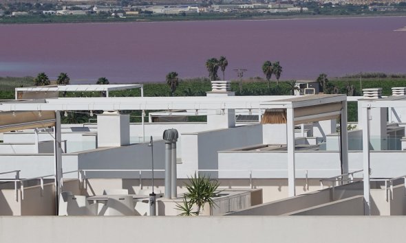 Rynek Wtórny - Apartament - Torrevieja - Los Balcones