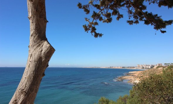 Reventa - Villa - Orihuela Costa - Cabo Roig