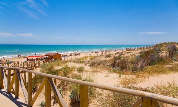 Obra nueva - Apartamento - Guardamar del Segura - Pueblo