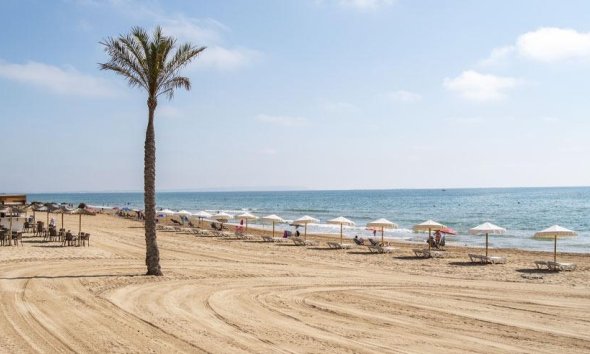 Obra nueva - Apartamento - Guardamar del Segura - Pueblo