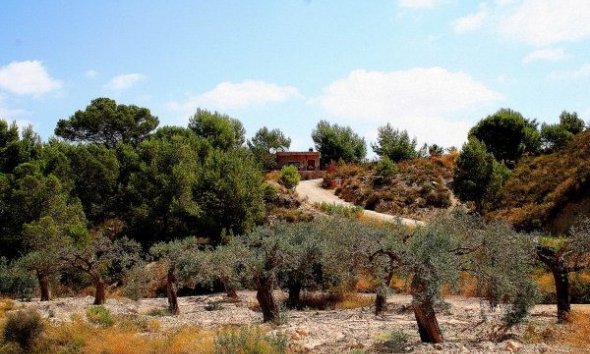 Resale - Farm Estate / Country Property - Murcia