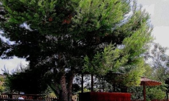 Resale - Farm Estate / Country Property - Murcia