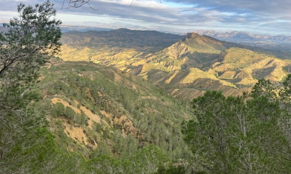 Resale - Farm Estate / Country Property - Murcia