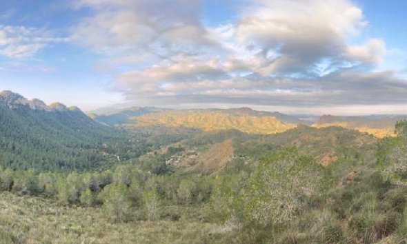 Resale - Farm Estate / Country Property - Murcia