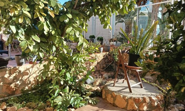 Resale - Apartment - Los Montesinos - La Herrada