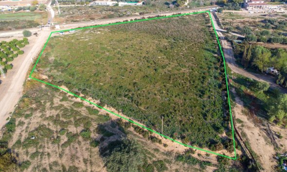 Rynek Wtórny - Country land - Crevillent - Comunidad valenciana