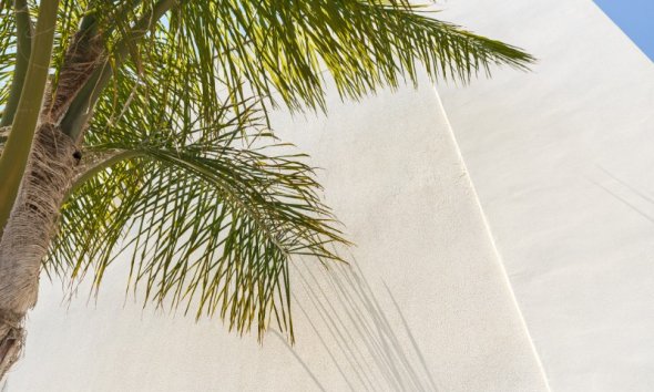 Reventa - Apartamento - Torre de la Horadada