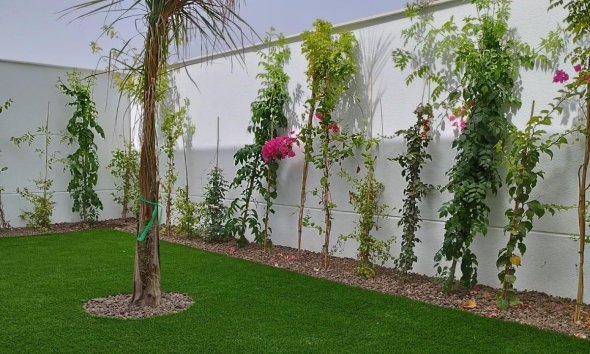 New Build - Terraced house / Townhouse - San Javier - Parque del doce