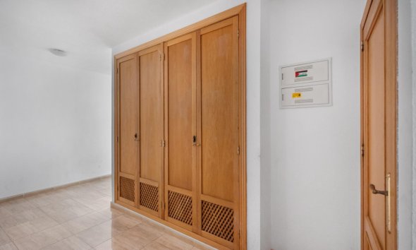 Rynek Wtórny - Apartament - Torrevieja - torrevieja