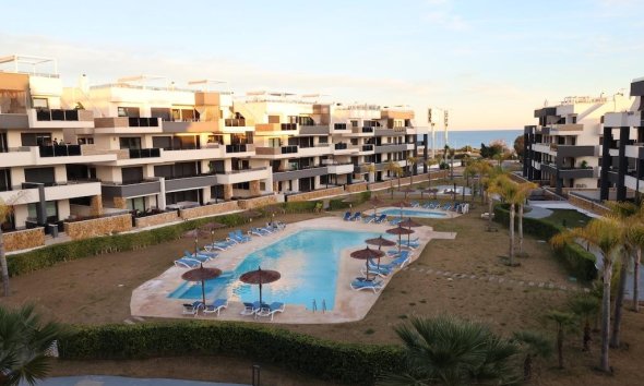 Reventa - Apartamento - Orihuela Costa - Punta Prima