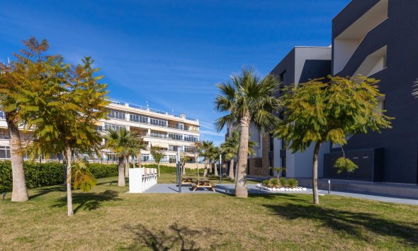 Resale - Apartment - Orihuela Costa - Playa Flamenca
