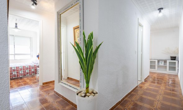 Rynek Wtórny - Apartament - Torrevieja - Playa del Acequión