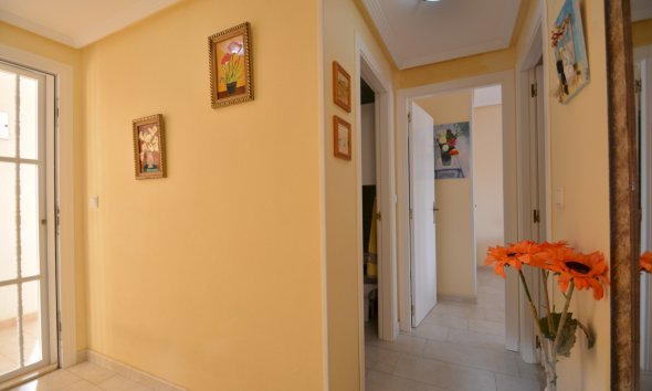 Rynek Wtórny - Apartament - Guardamar del Segura - SUP 7