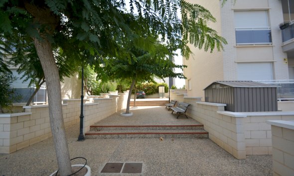 Rynek Wtórny - Apartament - Guardamar del Segura - SUP 7