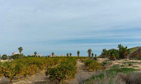 Resale - Villa - Torrevieja - Los Altos