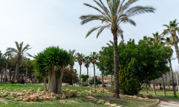 Resale - Villa - Torrevieja - Los Altos