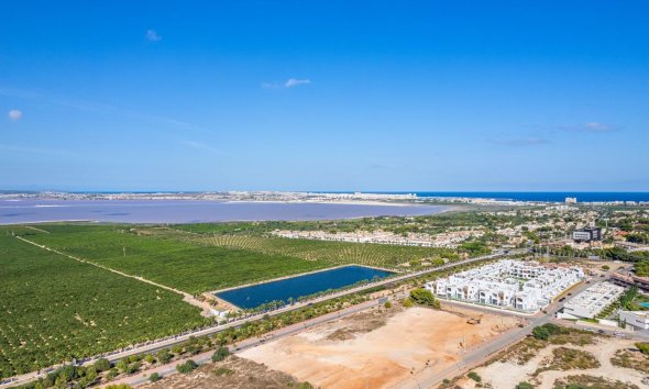 Rynek Pierwotny - Bungalow / Domek parterowy - Torrevieja - Los balcones