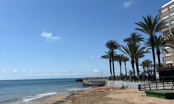 Rynek Wtórny - Apartament - Torrevieja - Playa del cura