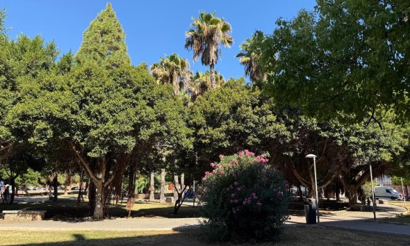 Resale - Apartment - Torrevieja - Acequion