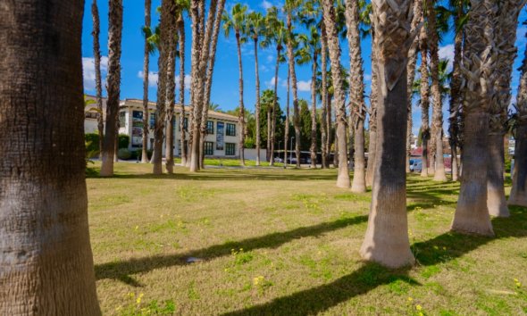 Resale - Apartment - Orihuela - Costa Blanca