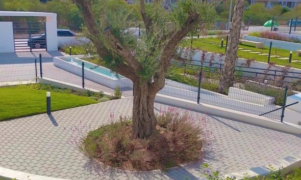 Resale - Apartment - Orihuela - Costa Blanca