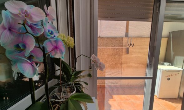 Resale - Terraced house / Townhouse - Torrevieja - Costa Blanca