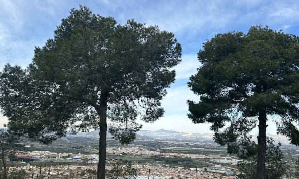 Reventa - Apartamento - Ciudad Quesada